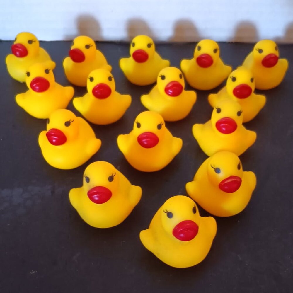 Baby Ducks :) - Picture 2 of 4